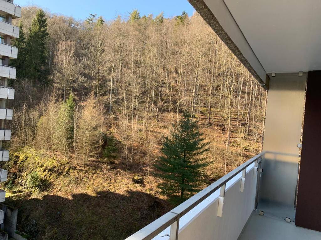 Mariposa 3 Incl Pool & Sauna Bad Harzburg Zewnętrze zdjęcie