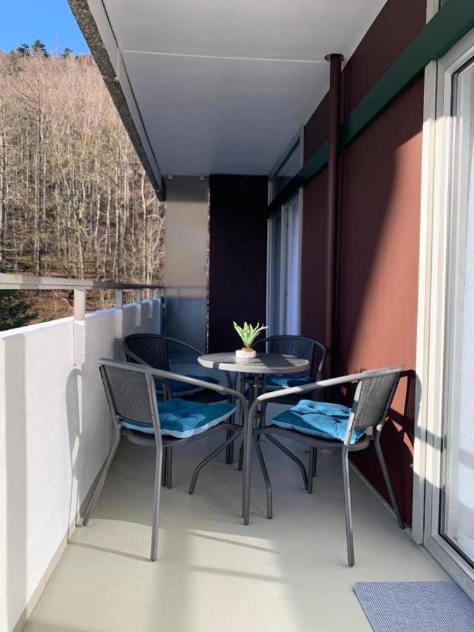 Mariposa 3 Incl Pool & Sauna Bad Harzburg Zewnętrze zdjęcie