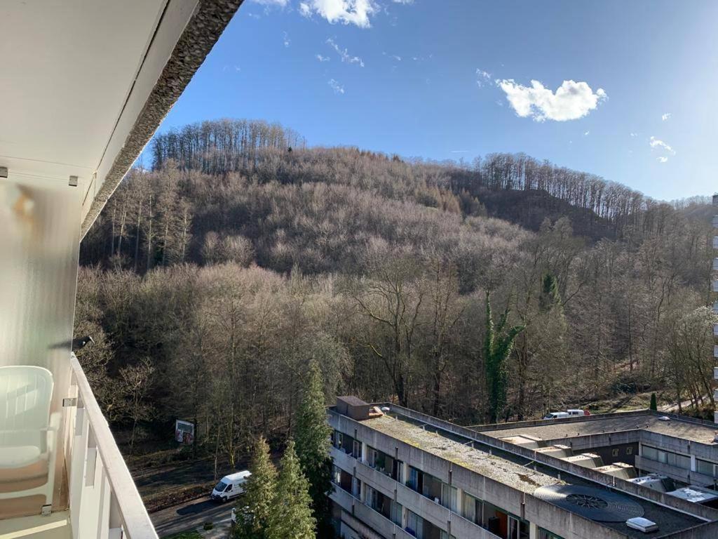 Mariposa 3 Incl Pool & Sauna Bad Harzburg Zewnętrze zdjęcie